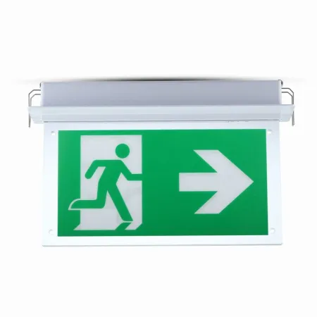 Lampada LED Chip di Emergenza Montaggio a Incasso | Energy Clever
