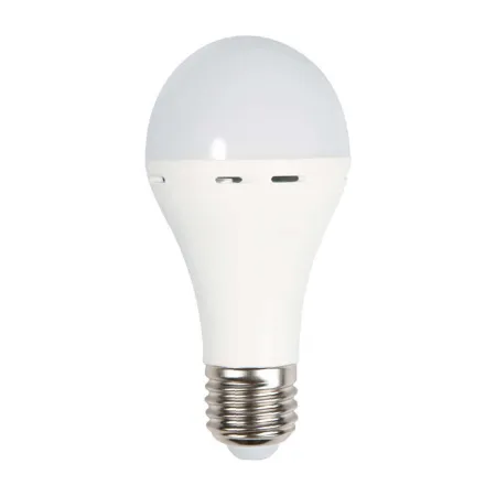 Lampadina LED Utilizzabile Come Torcia | Energy Clever