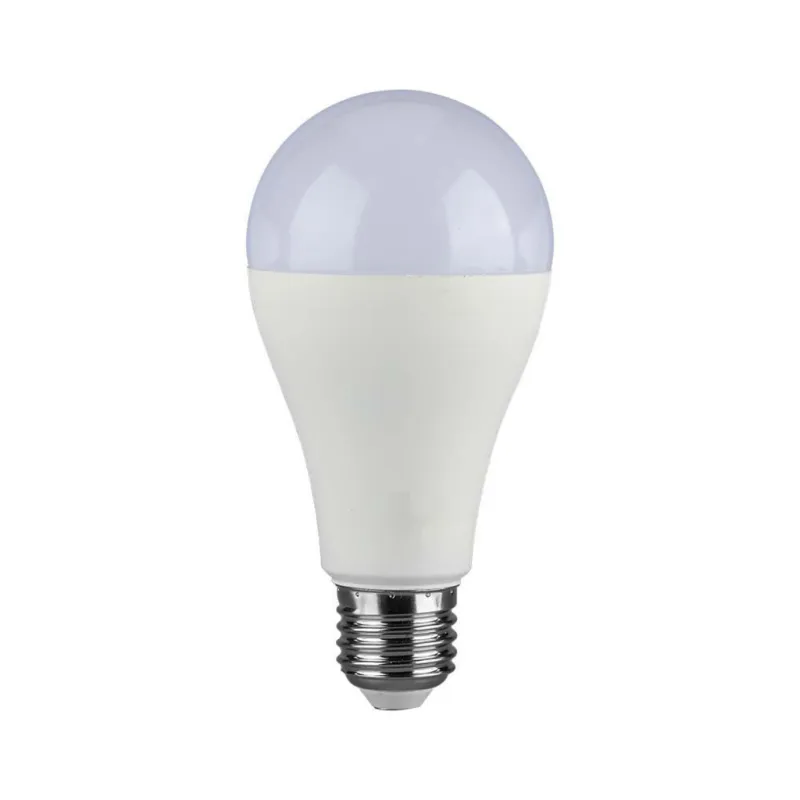 Lampadina LED E27 15W A65 6500K