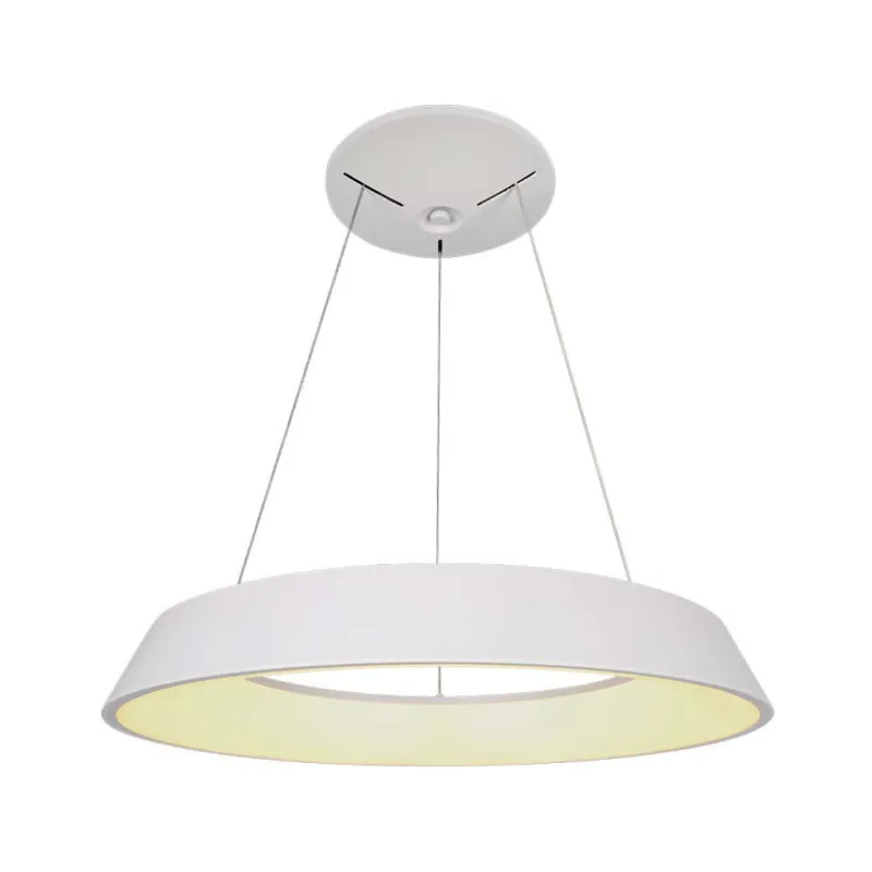 48W LED Designer Hanging Light Triac Dimmable White 3000K