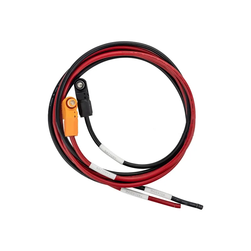 Cavi di Collegamento 2m 10mm² per Batteria di Accumulo a Inverter SKU 12151