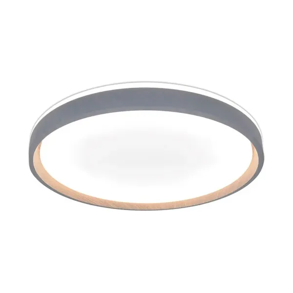 LED Designer Domelight 20W/40W/20W Remote Contron 3in1 Dimmable Wood Grain