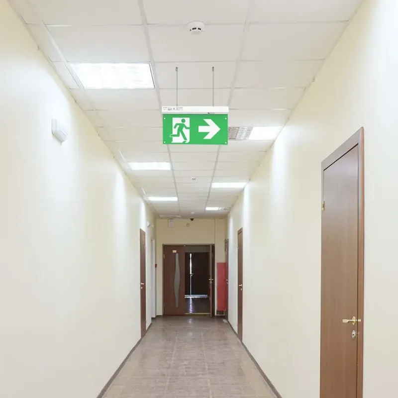 Lampada LED di emergenza con telecomando | Energy Clever